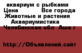 аквариум с рыбками › Цена ­ 1 000 - Все города Животные и растения » Аквариумистика   . Челябинская обл.,Аша г.